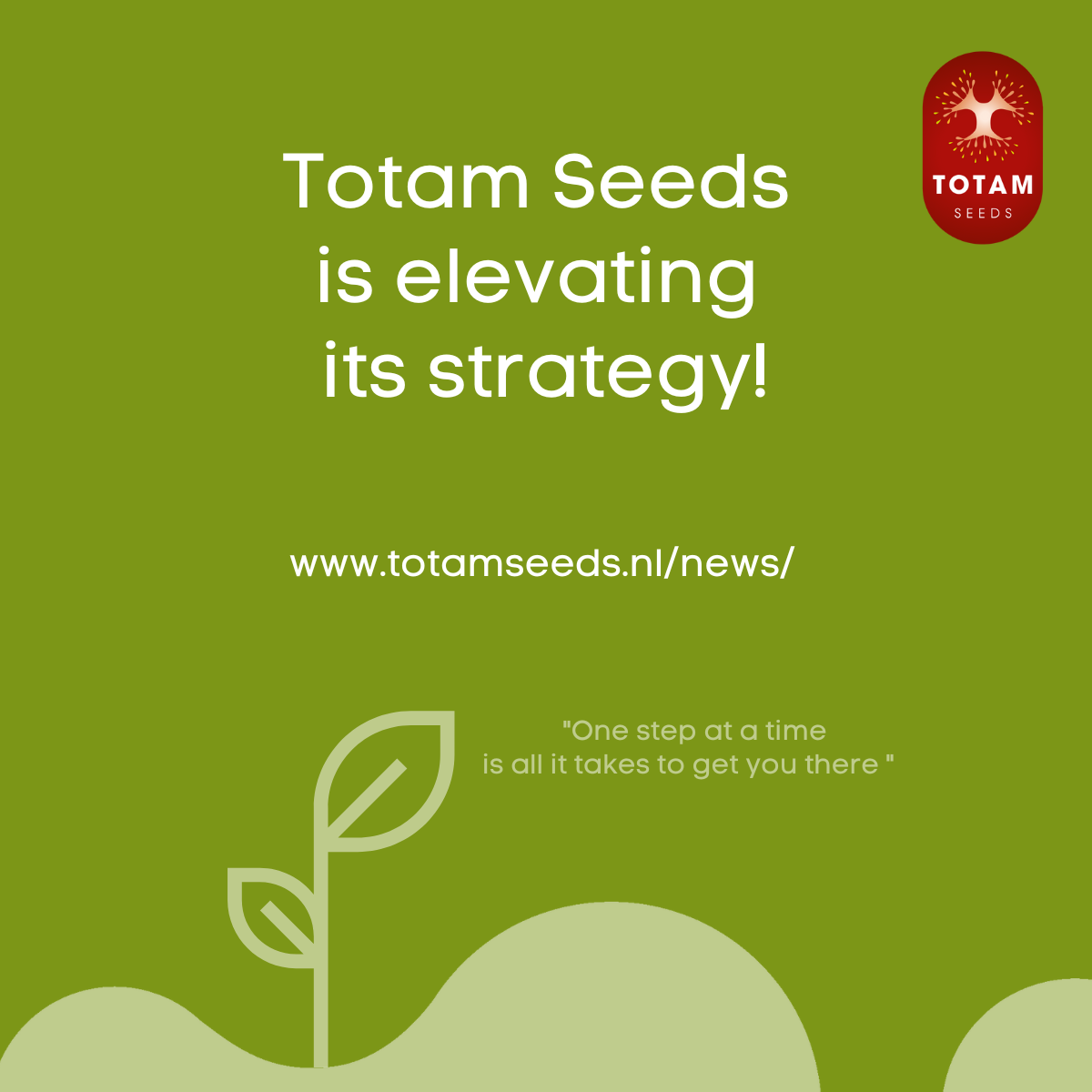 Totam Seeds is elevating its strategy!
